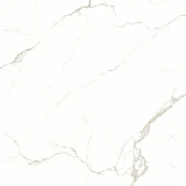 Salerno-DP-60805-1